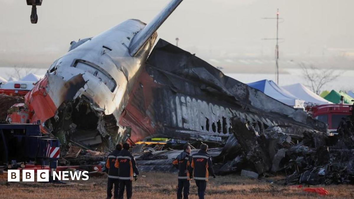 South Korea: Pre-flight checks found no issues, Jeju Air CEO says