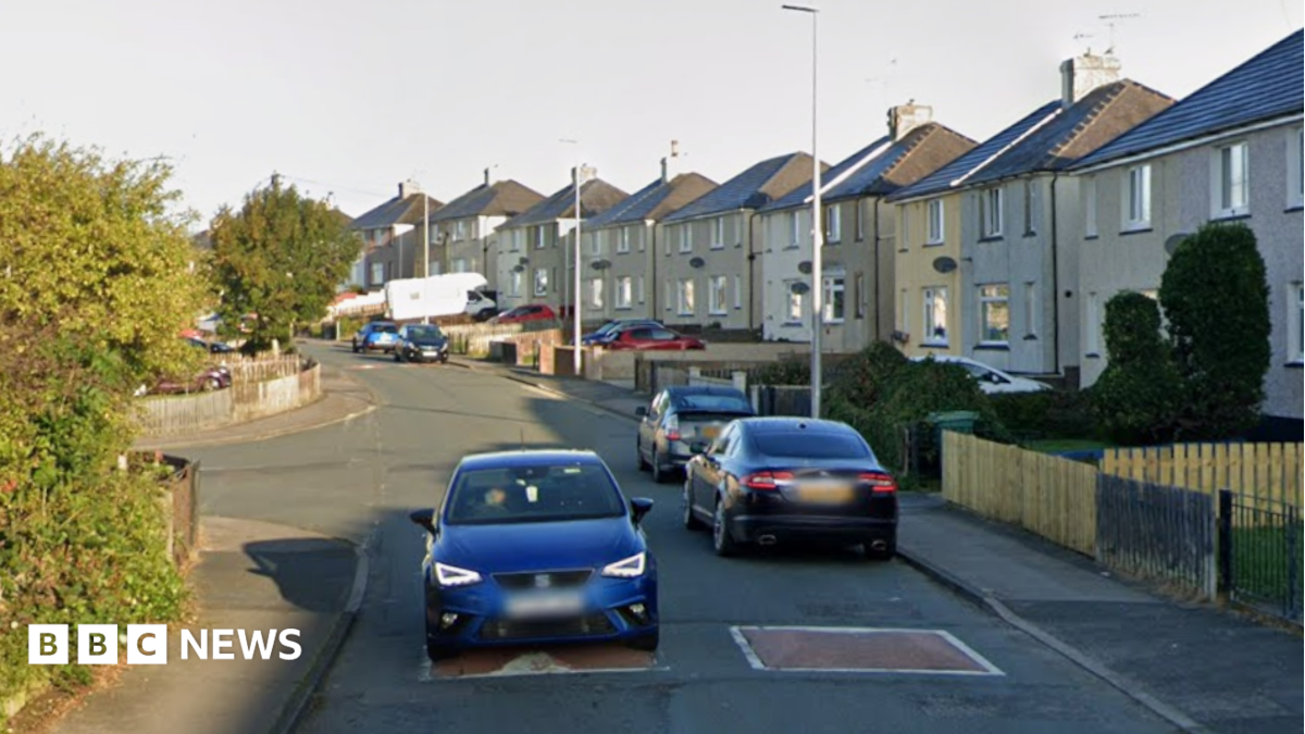 Pensioner dies in Salterbeck house fire