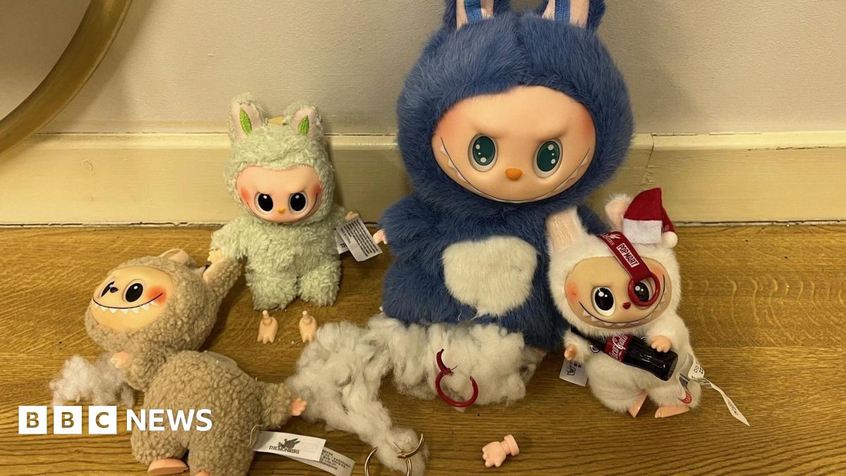 Hundreds of fake Labubu dolls seized in Moray - BBC News