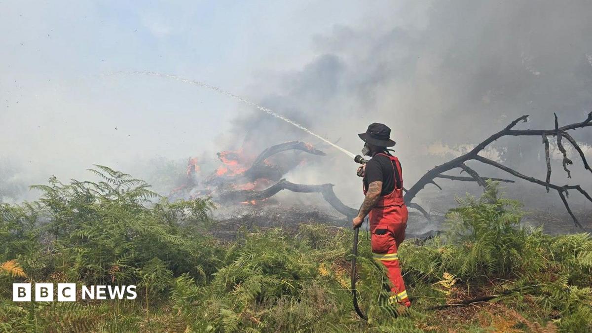 New Forest wildfire continues as temperatures rise