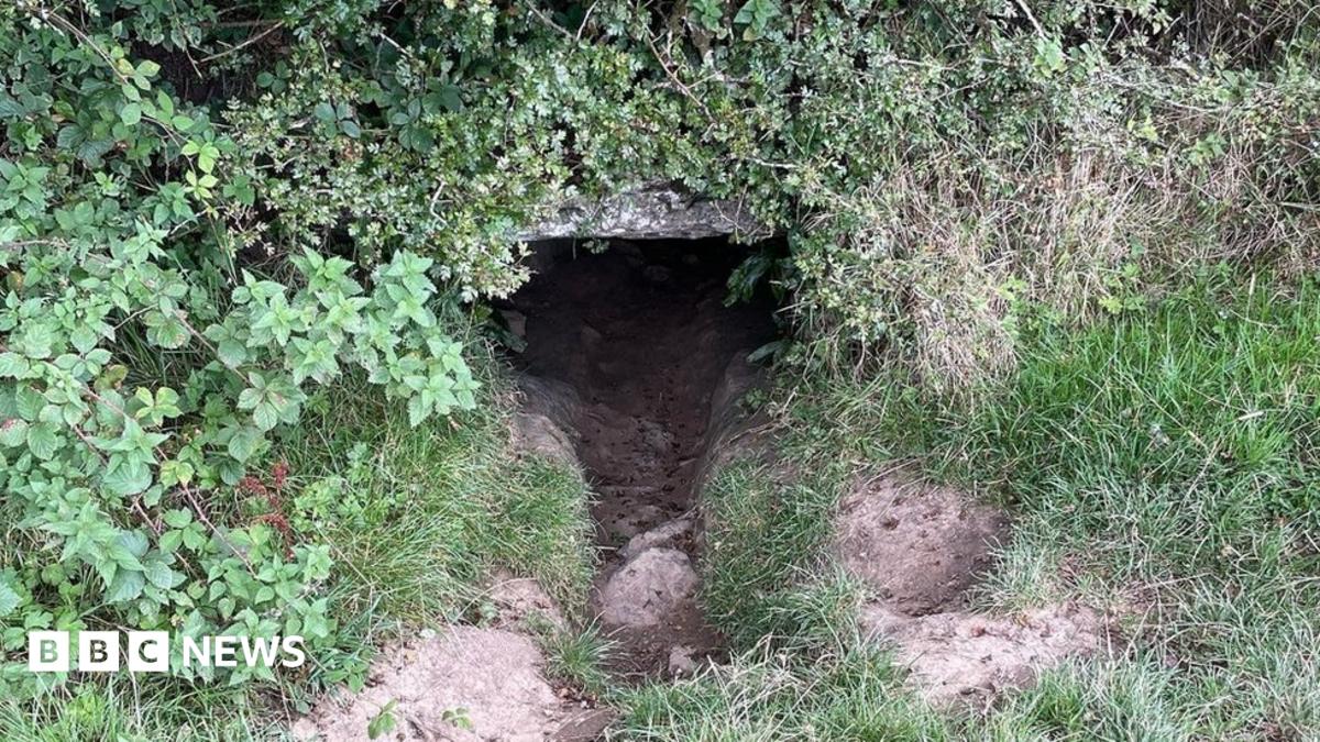Cave — Ardnaglug