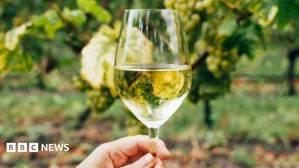 bbc.co.uk - Niall Glynn - Ireland's small but determined wine industry warming up