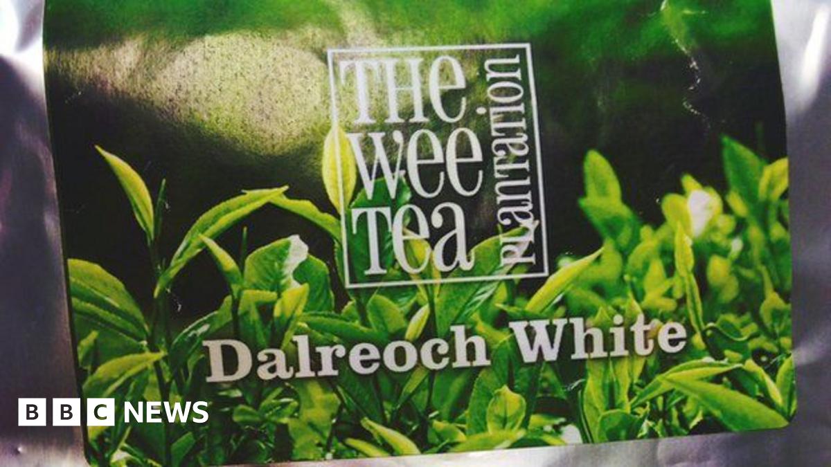 Fraudster made £550,000 selling fake 'Scottish-grown tea'