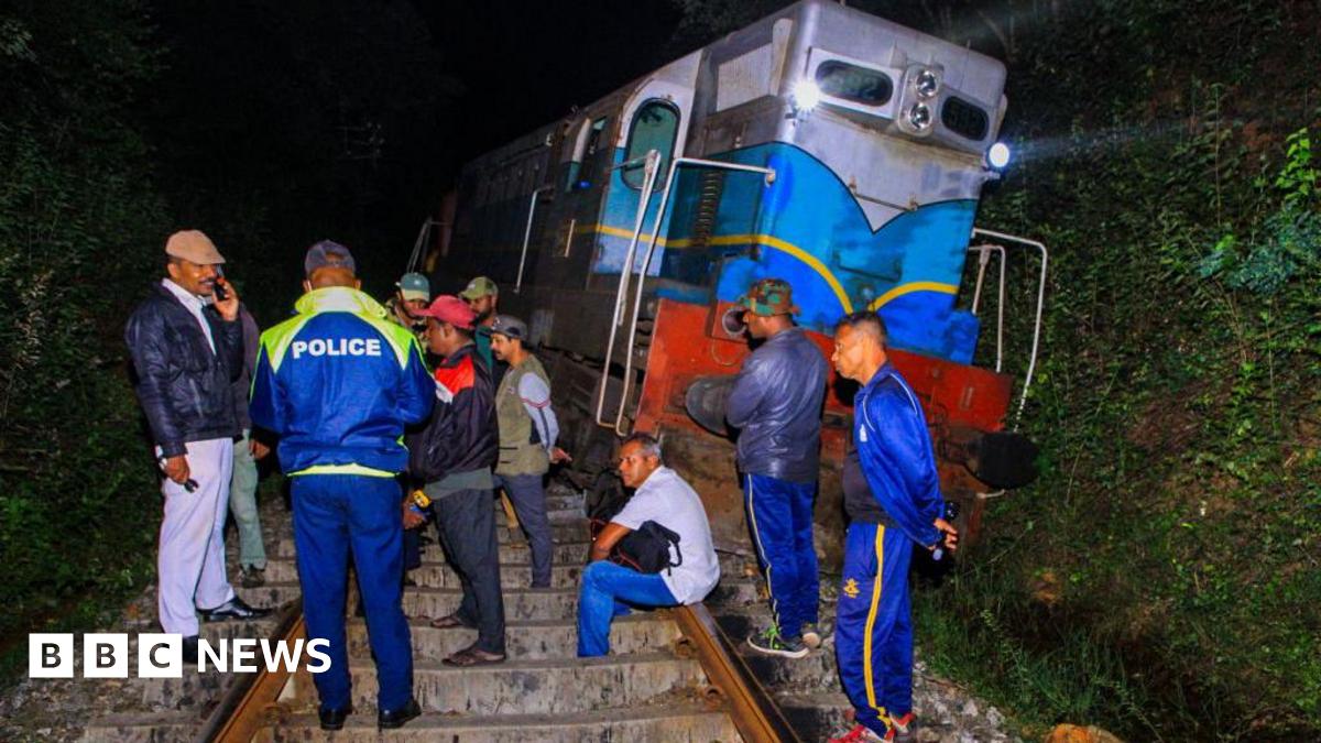 Six elephants dead after being struck by train in Sri Lanka