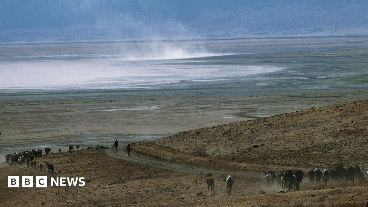 Tanzanian rangers arrested as police investigate death in national park