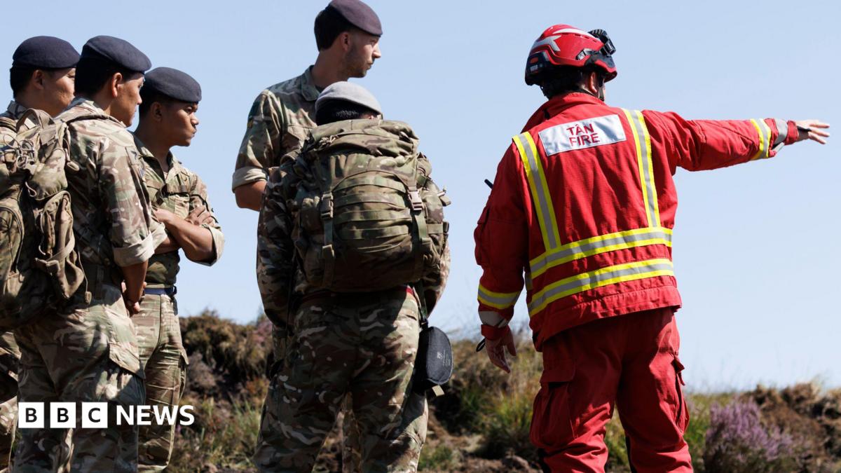 Soldiers praised for helping crews tackle wildfires in south Wales