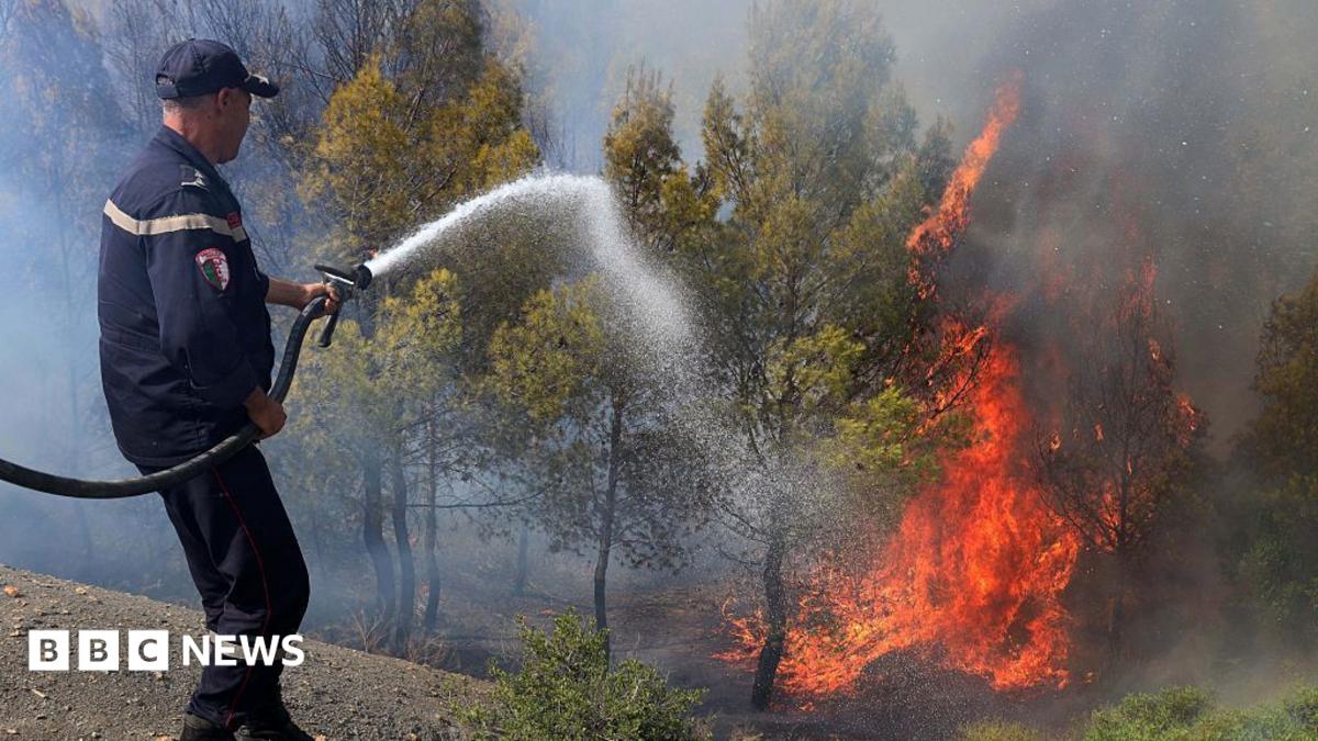 حرائق شمال الجزائر تودي بحياة 12 شخصًا على الأقل