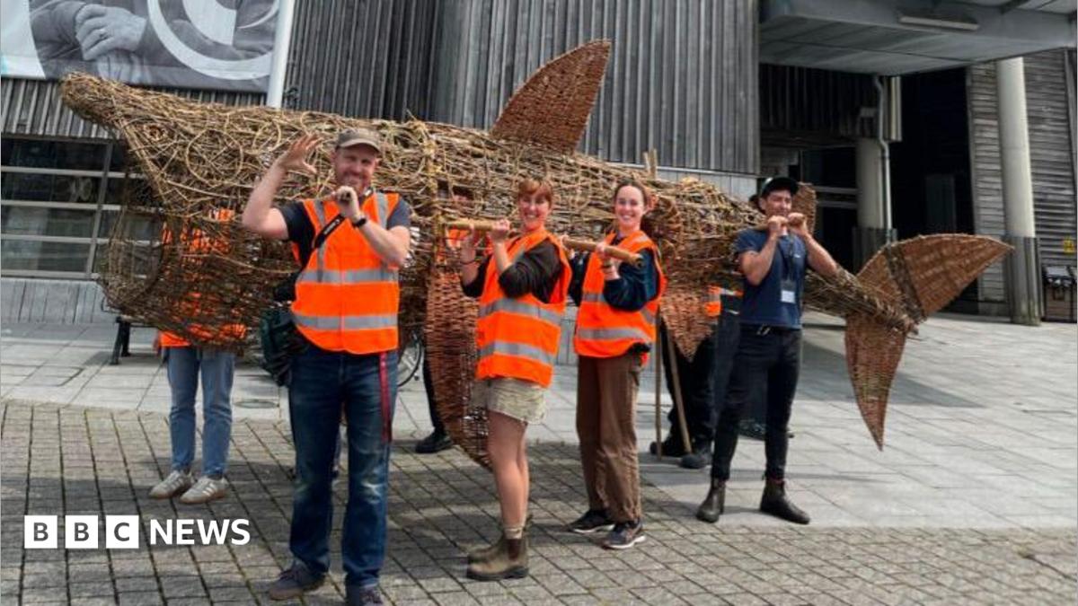 水槽 junkyard&workers Falmouth Basket Shark aims to raise sea pollution awareness - BBC News