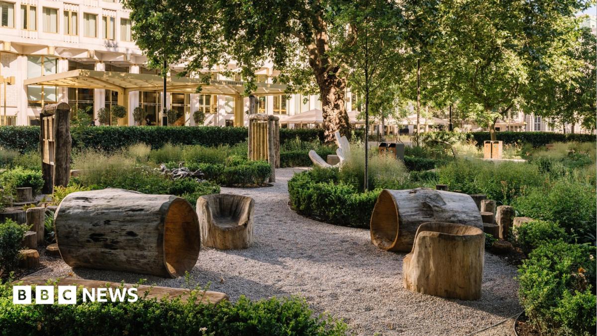 London's Grosvenor Square reopens as biodiverse city haven
