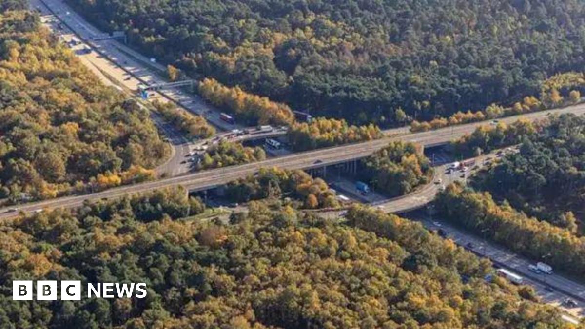 Section of the A3 in Surrey to close all weekend