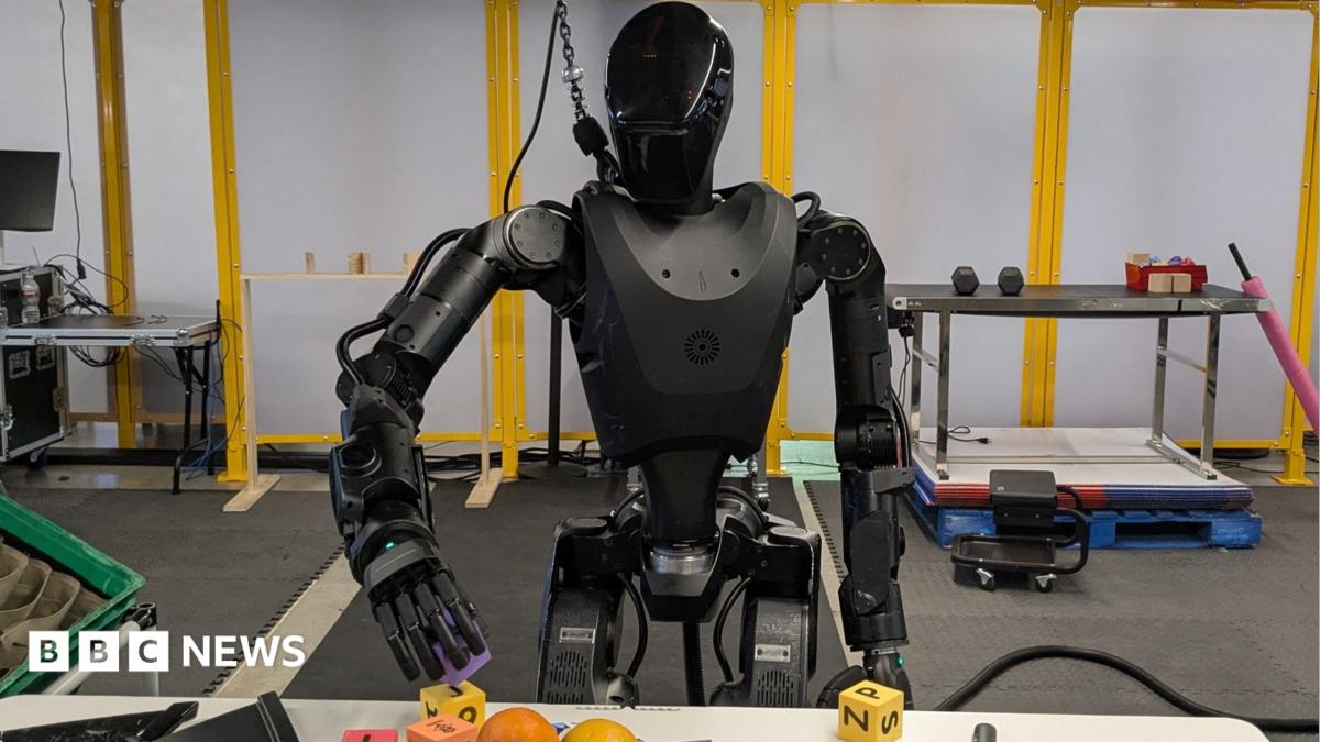bbc.co.uk - Zoe Corbyn - Could humanoid robots be heading for the battlefield?