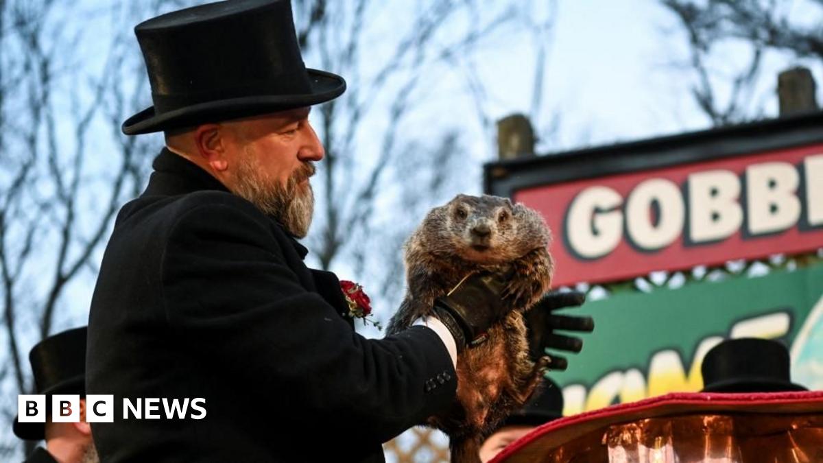 Groundhog Day: Punxsutawney Phil sees his own shadow