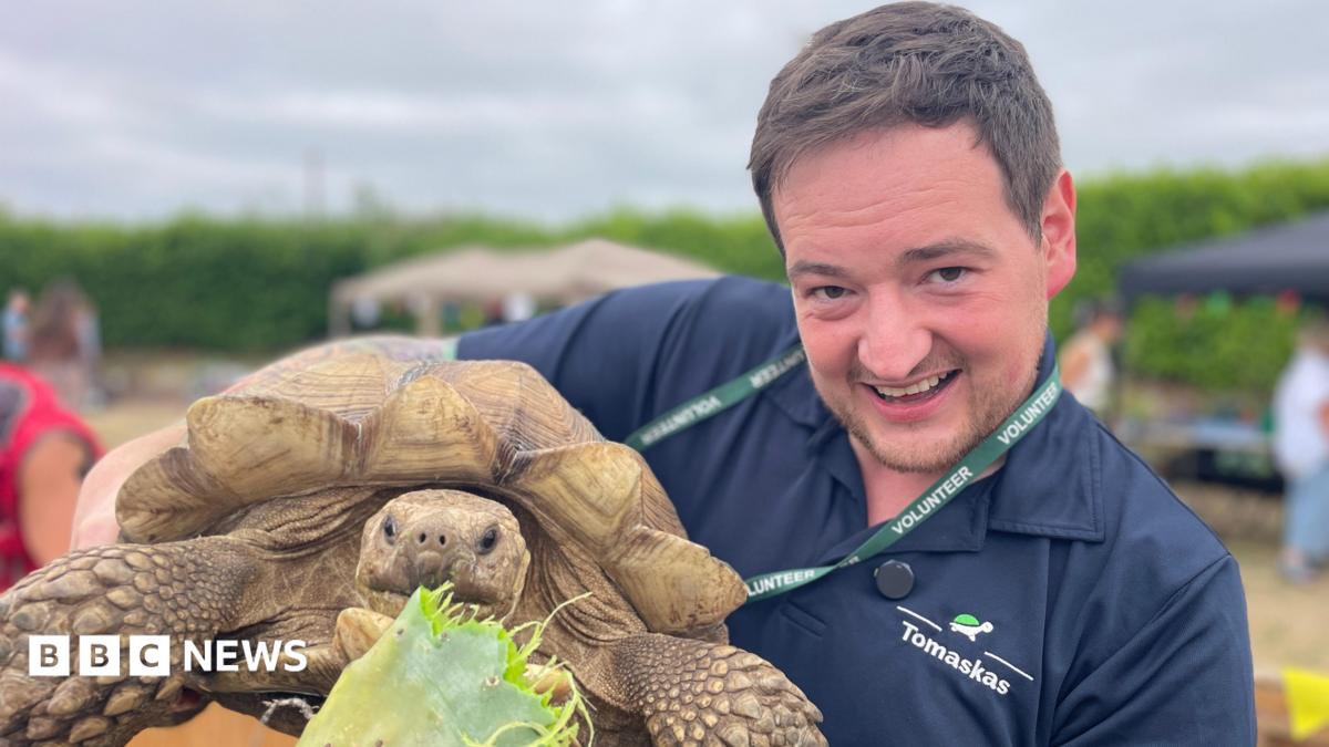 Norfolk tortoise that weighs 40kg is looking for new home