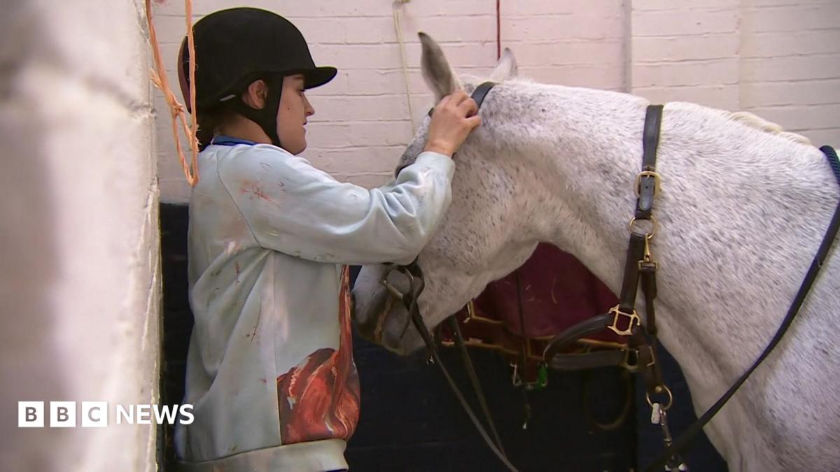 Bovington horse training scheme 'changing lives' of young people - BBC News