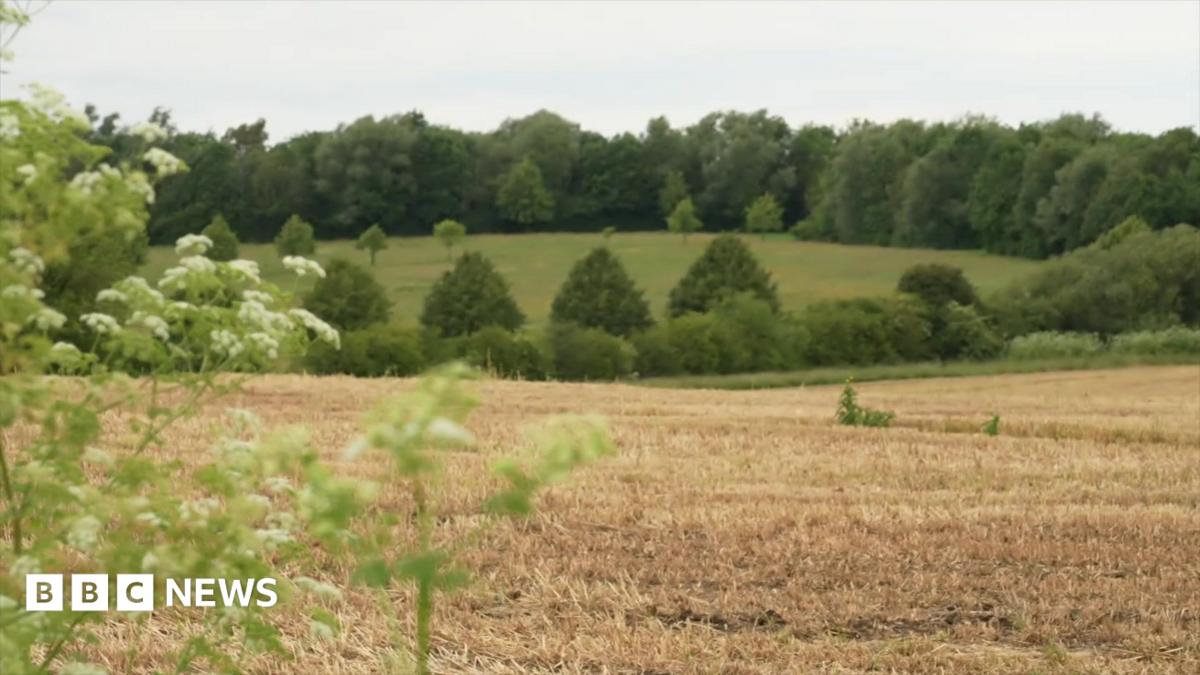 bbc.co.uk - Laura Coffey - Will rejected plans for a Northampton housing development go ahead?