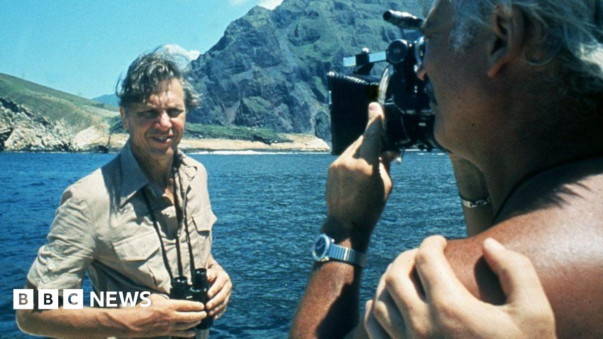 Ten of Attenborough's best documentaries and how to watch them