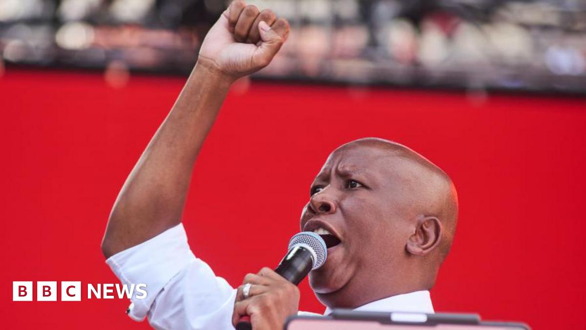 South African Firebrand MP Julius Malema Convicted of Illegal Firearm Possession and Discharging a Weapon