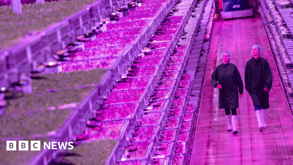 Firm behind UK’s biggest vertical farm goes bust   www.bbc.co.uk