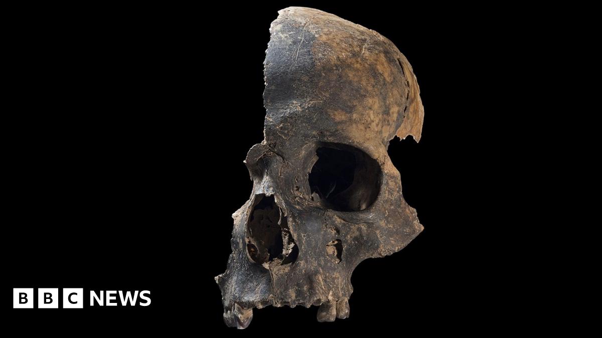 Somerset Bronze Age massacre victims likely cannibalised