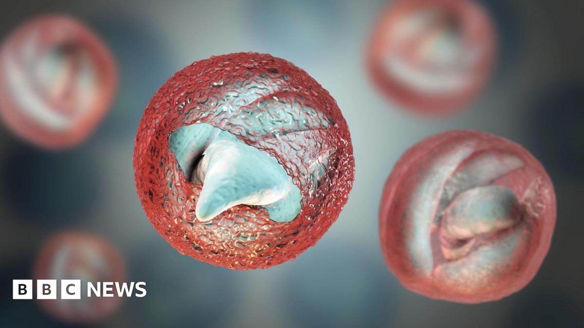 South West Water will not pass on any parasite fine to customers