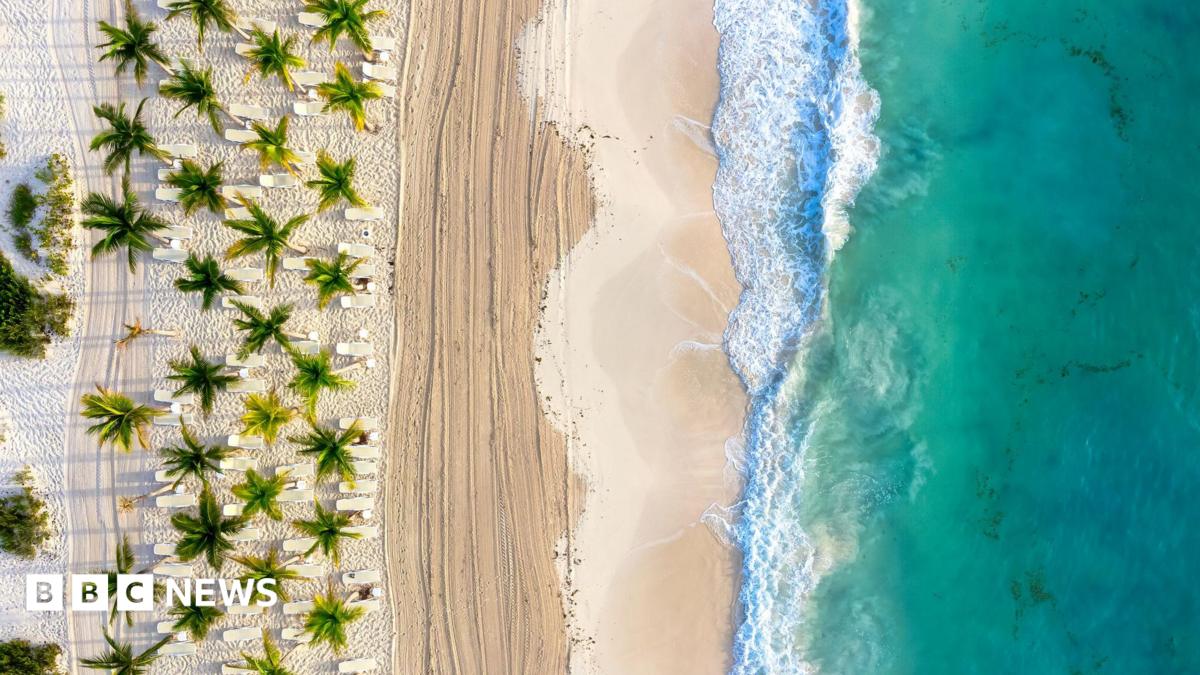 Thumbnail for Holidaymakers warned about 'explosive diarrhoea' cyclospora parasite infection