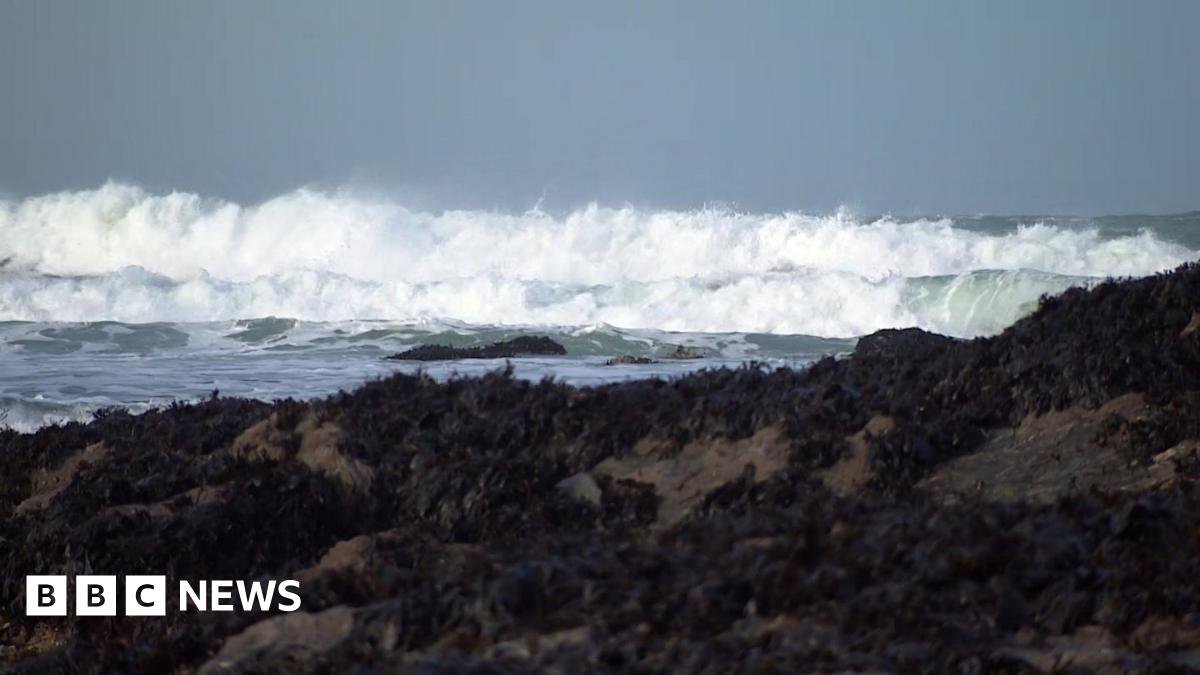 
                            Man dies in Cornwall as tree falls on caravan in Storm Goretti