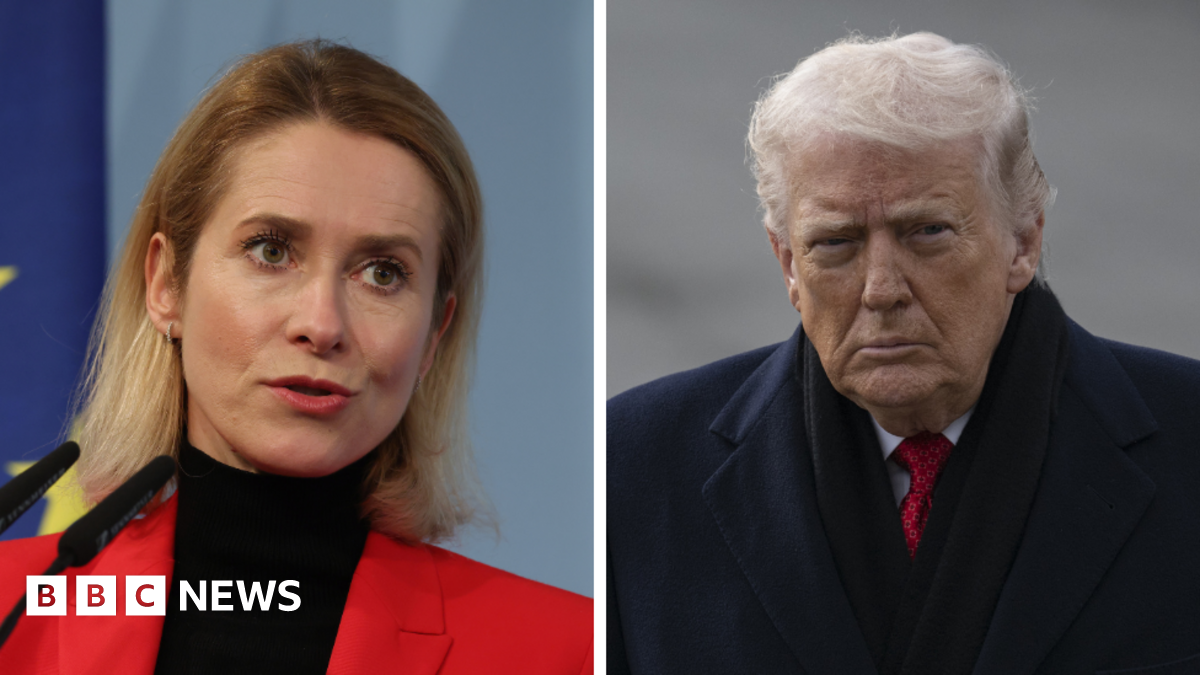 
                            Trump says he will '100%' carry out Greenland tariffs threat, as EU vows to protect its interests