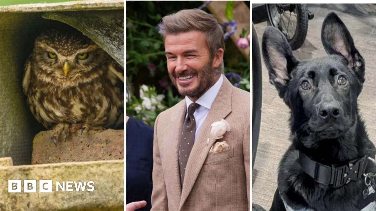 Stories to make you smile from across the West Midlands