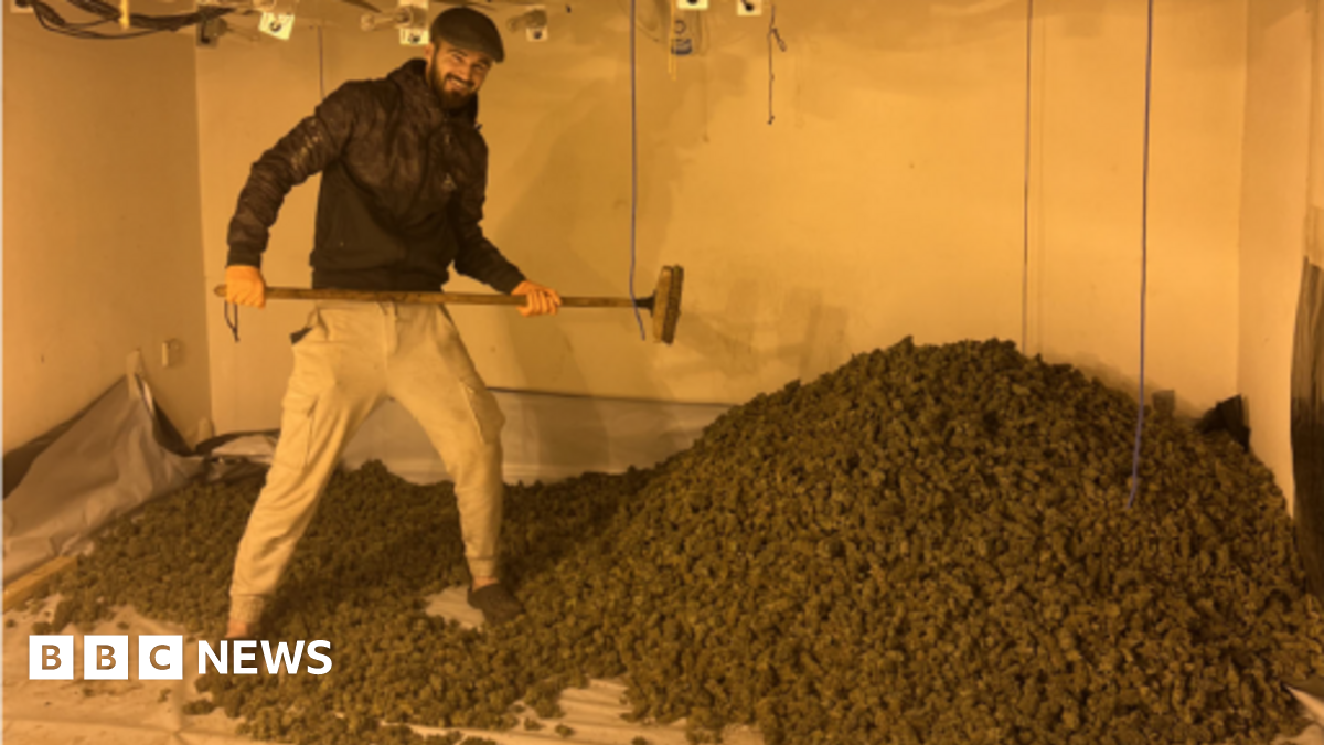 bbc.co.uk - Georgie Docker - Men who posed with stash at &pound;1m Oldham cannabis farm jailed