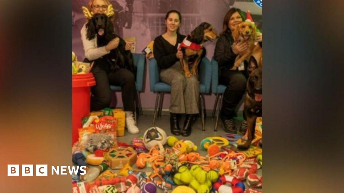 West Midlands Police staff donate toys to 'outstanding' dogs