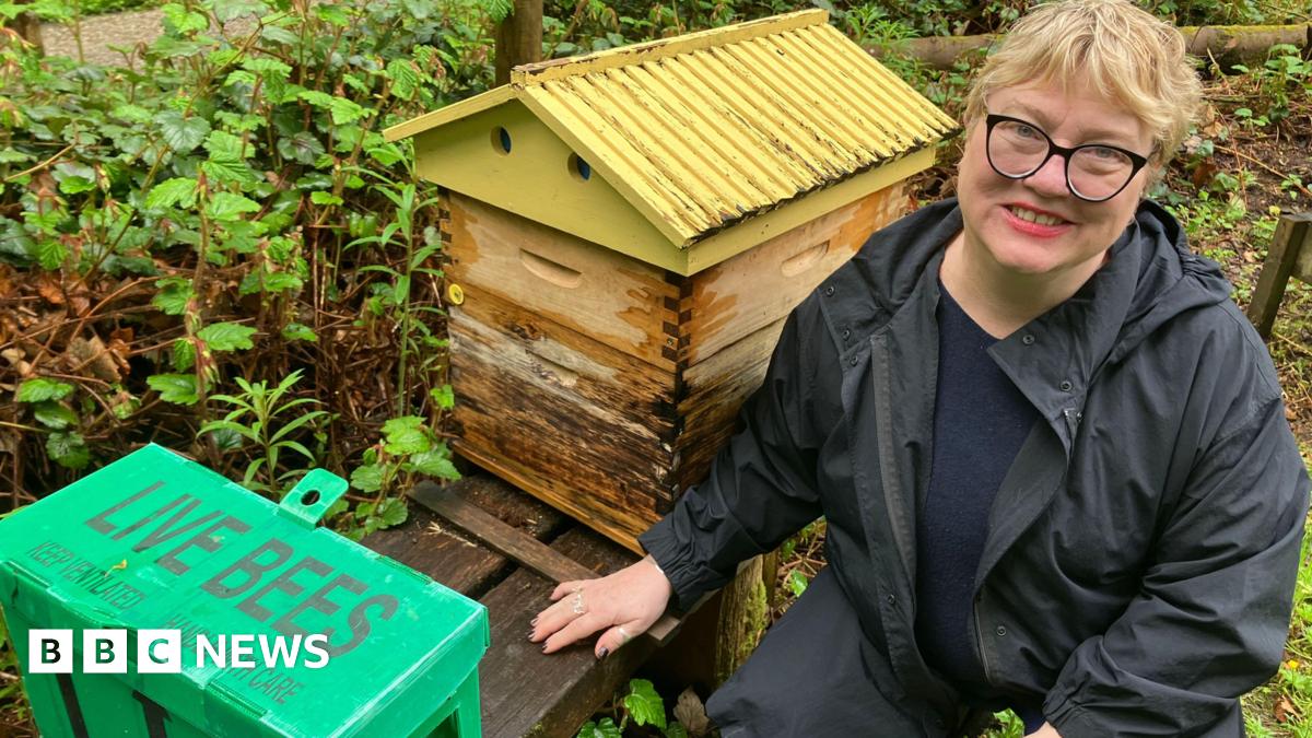 Free beekeeping workshops in Bury after 18,000 bees die