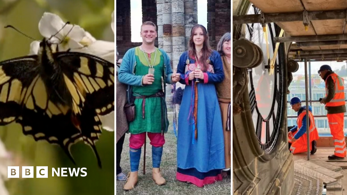 bbc.co.uk - Julia Bryson - Stories from across Yorkshire to make you smile - 5 April 2026