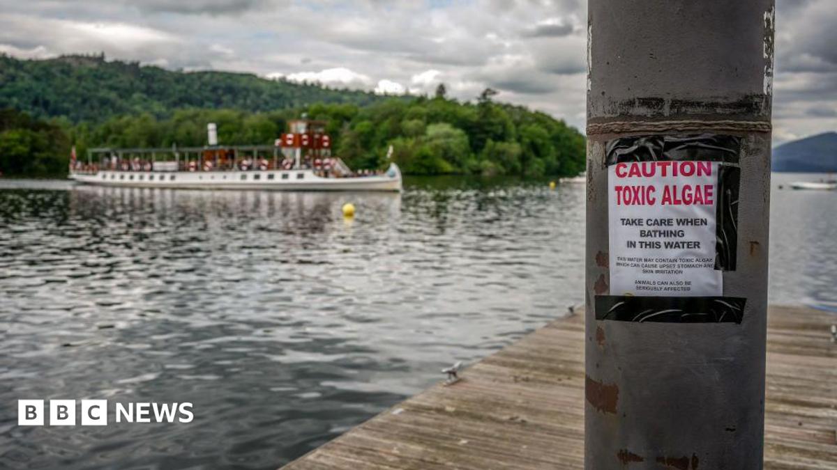 Majority of England's rivers and lakes fail new environmental review
