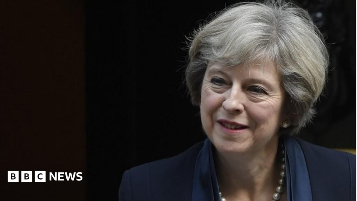 MPs' consent 'not needed for Article 50 to trigger Brexit' - BBC News