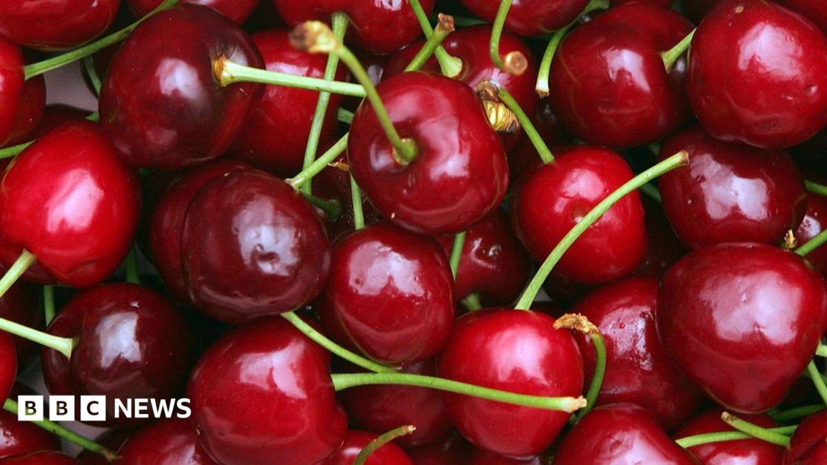 Lancashire man poisoned after eating cherry seeds - BBC News