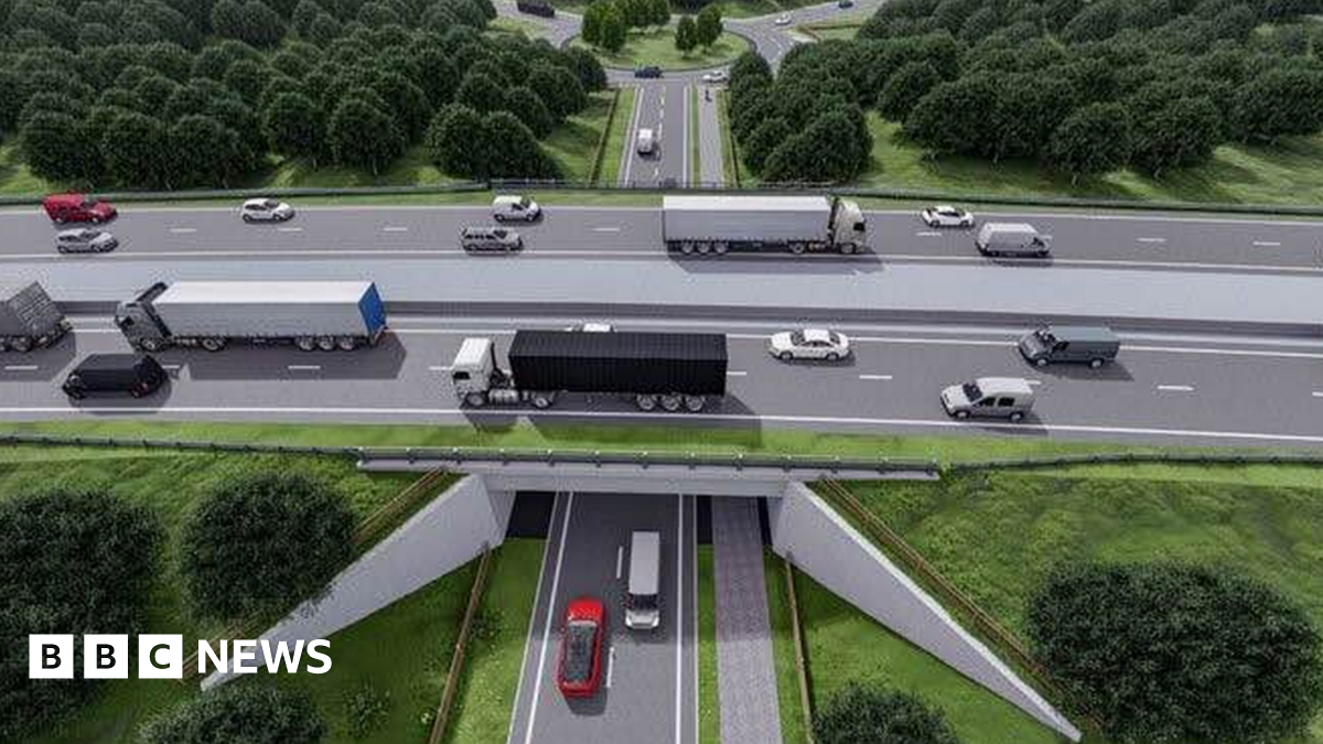 Norfolk A47: Climate activist wins right to appeal road projects - BBC News