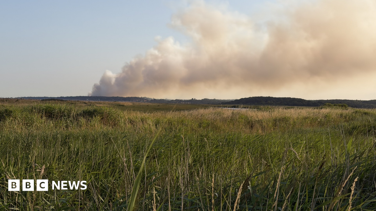 Thumbnail for Major incident declared over coastal heath fire in Suffolk