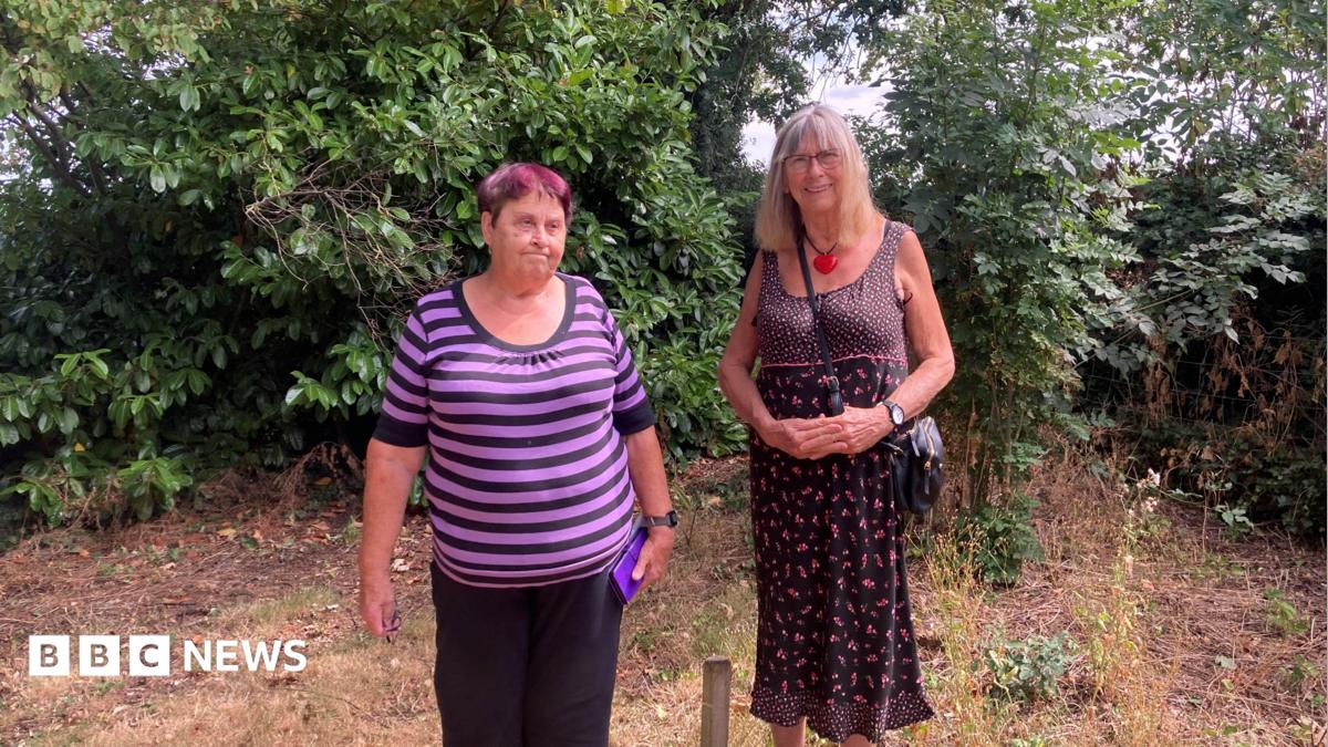 Council vows to press ahead on Hereford bypass despite tree row