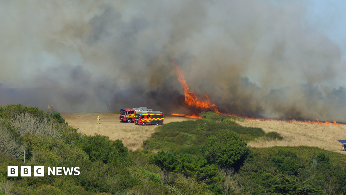 Wildfires across South West spark warnings of controlled burns