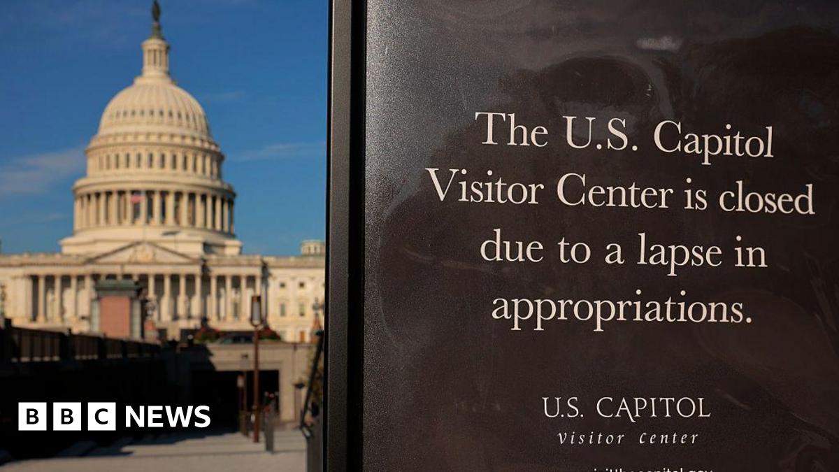 As US shutdown starts to bite, how much could it hit economy?