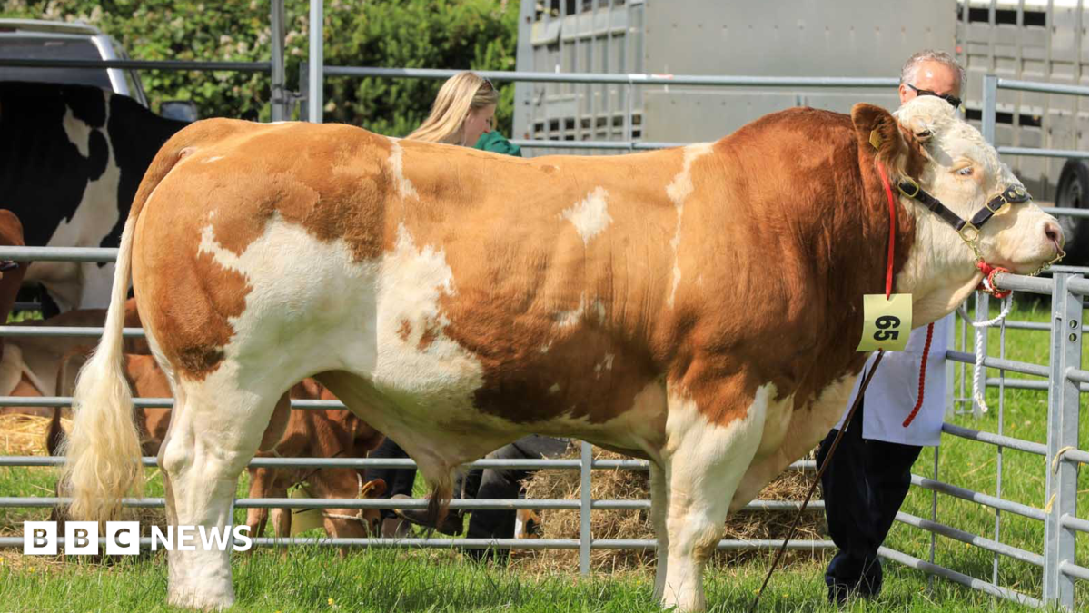 bbc.co.uk - Josh Cann - Full guide to what's on at the Southern Show 2026