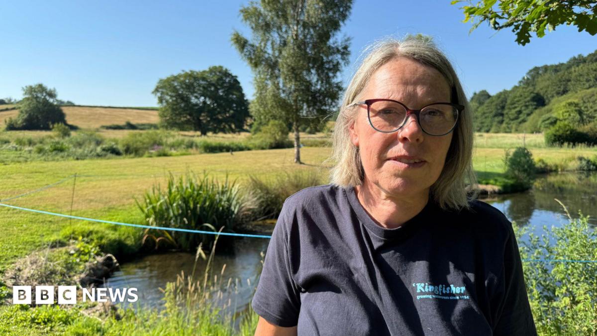Future of Abinger Hammer watercress farm in doubt