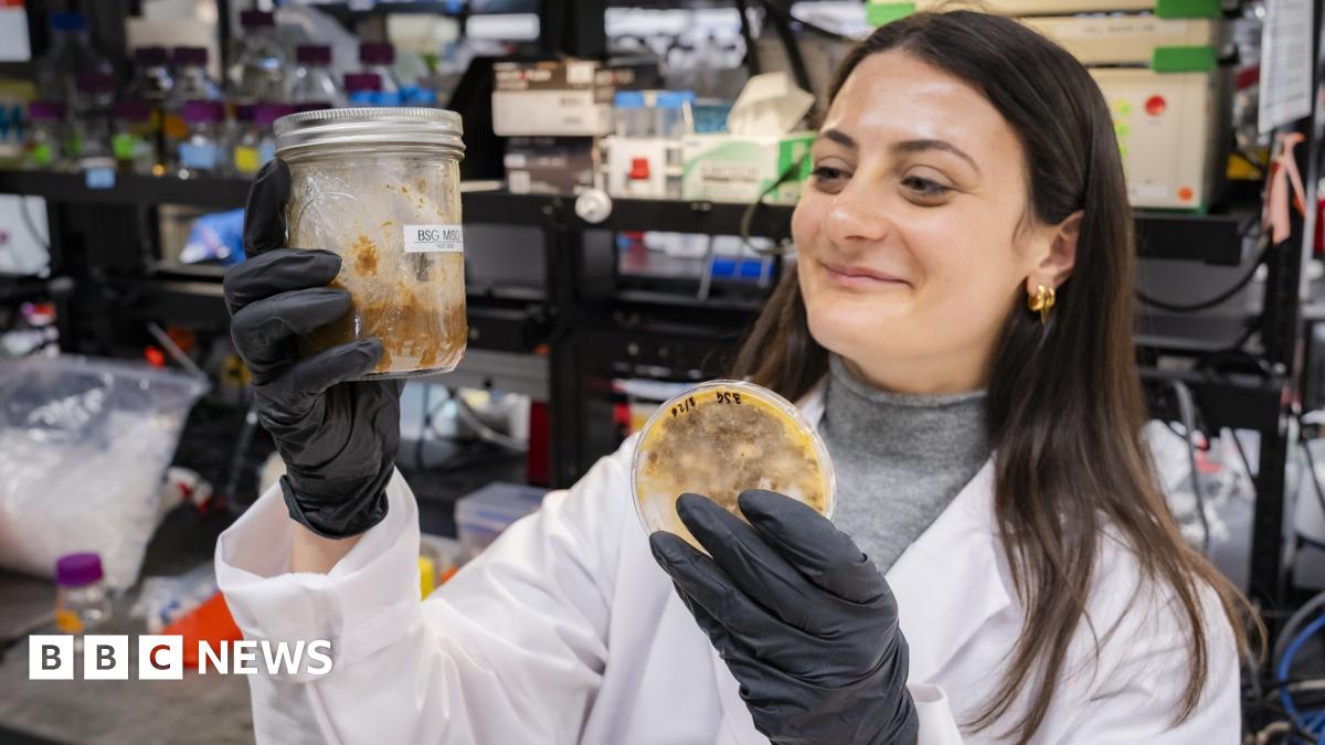 bbc.co.uk - Christine Ro - Food industry: How waste is made tasty using an ancient trick