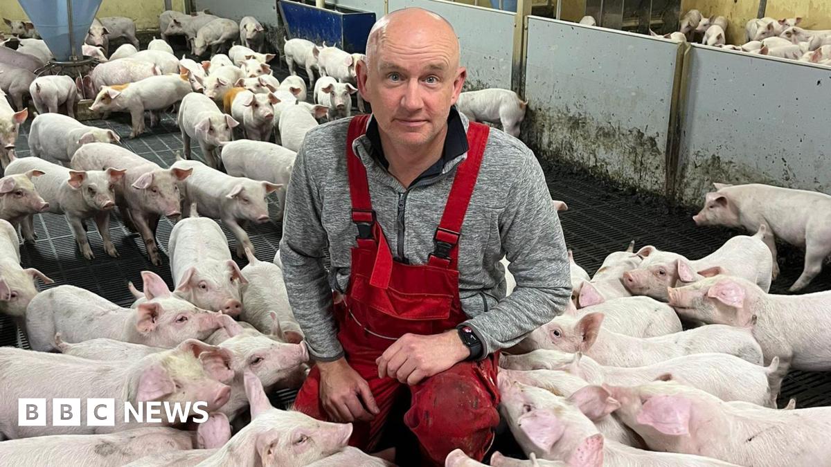 bbc.co.uk - Lori Carnochan - Our industry is at breaking point,' claim Scotland's pig farmers