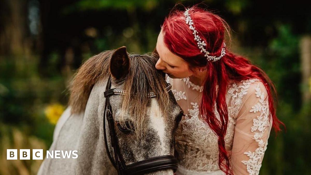 
                            'Oldest horse' thrives on linseed cake and light exercise