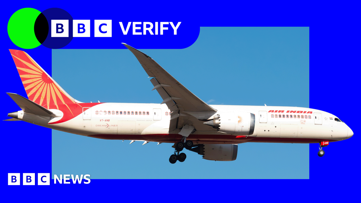 What could have caused Air India plane to crash in 30 seconds?