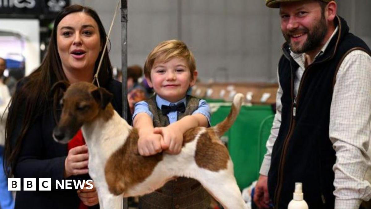 Bobbington boy, 6, one of Crufts’ youngest ever winners