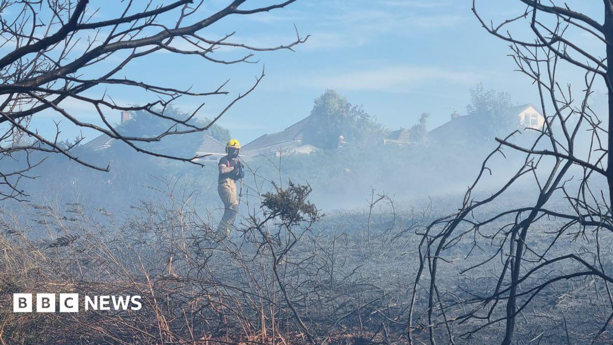 Bourne Valley park blaze believed started deliberately
