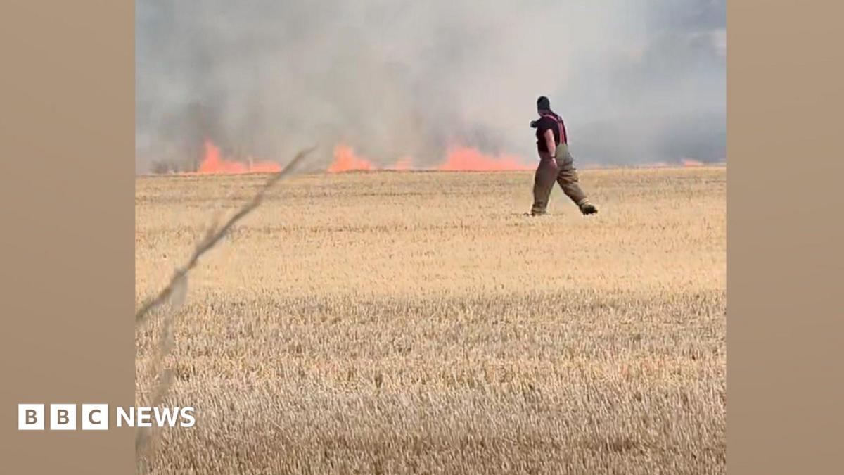 Firefighters called to tackle field blaze in Church Warsop