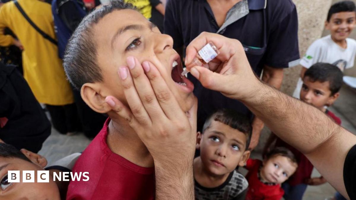 A Palestinian child is vaccinated against polio, at a UN clinic in Deir Al-Balah in the central Gaza Strip, 1 September 2024.